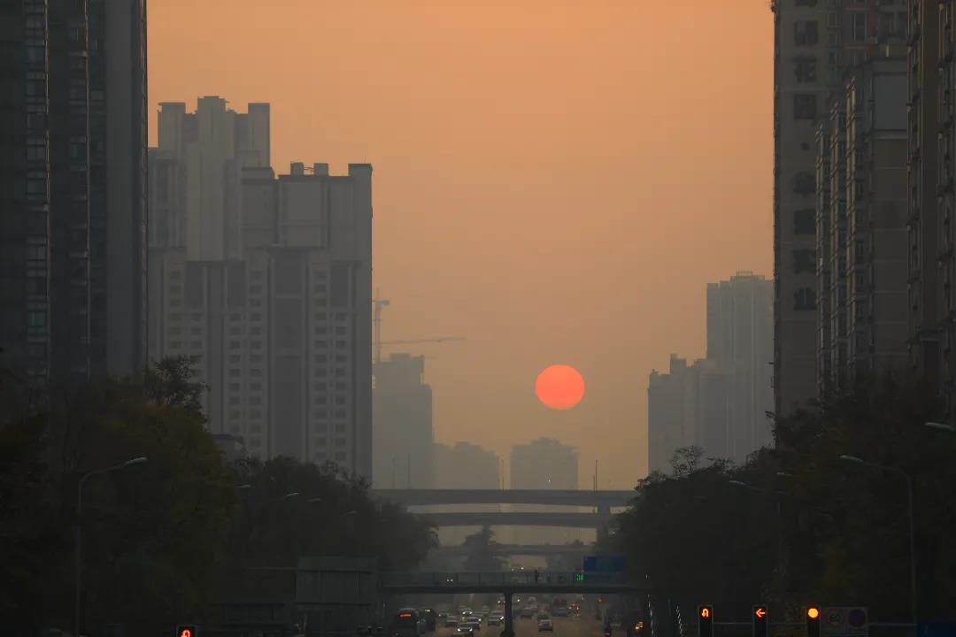 重磅！今后我省這些專業(yè)擬在一本招生